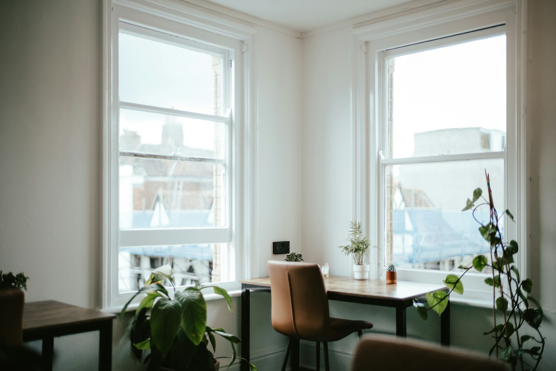 A bright workspace with desks beside tall windows